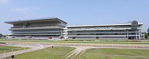 新潟競馬場