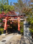 宇治上神社