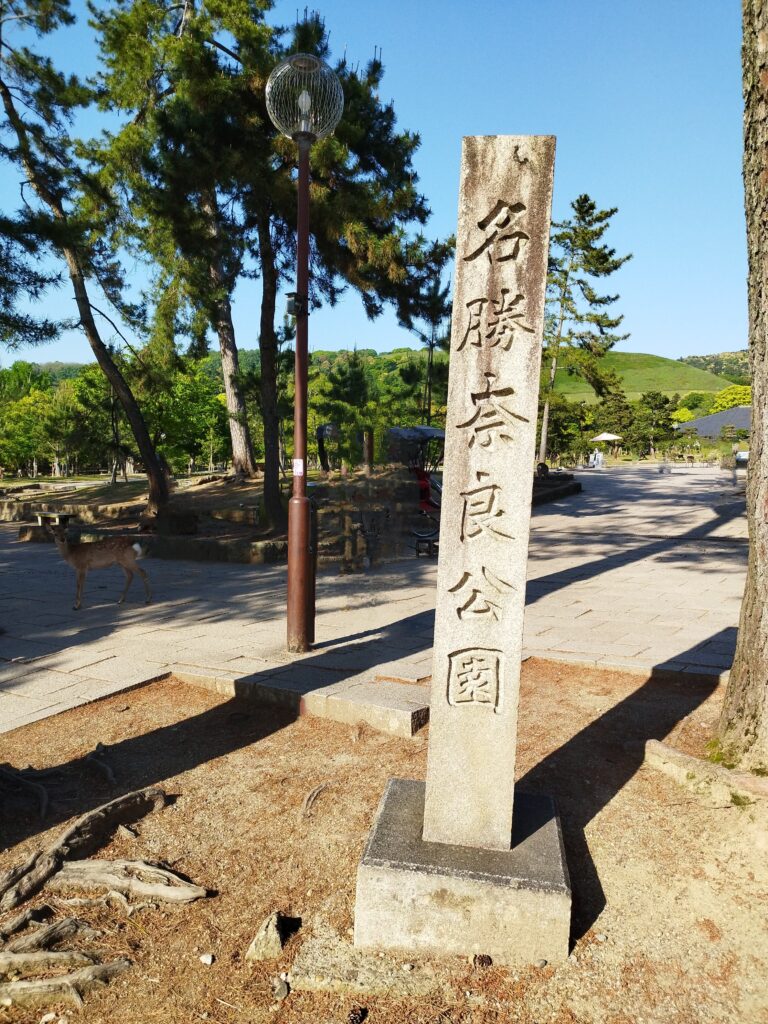 奈良公園