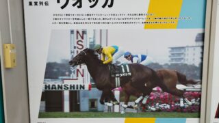 ウオッカ