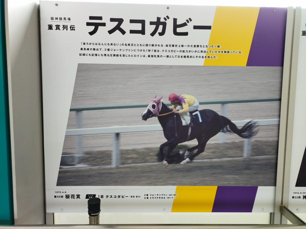 テスコガビー