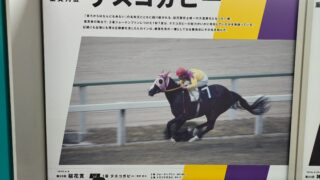 テスコガビー