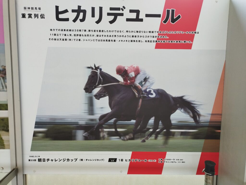 ヒカリデュール