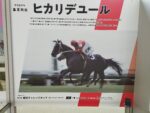 ヒカリデュール