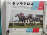 タマモクロス