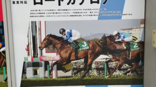 ロードカナロア