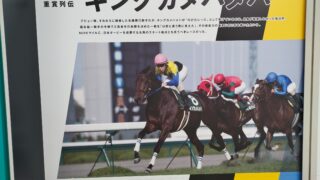 キングカメハメハ