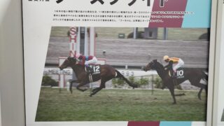 ノースフライト