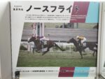 ノースフライト