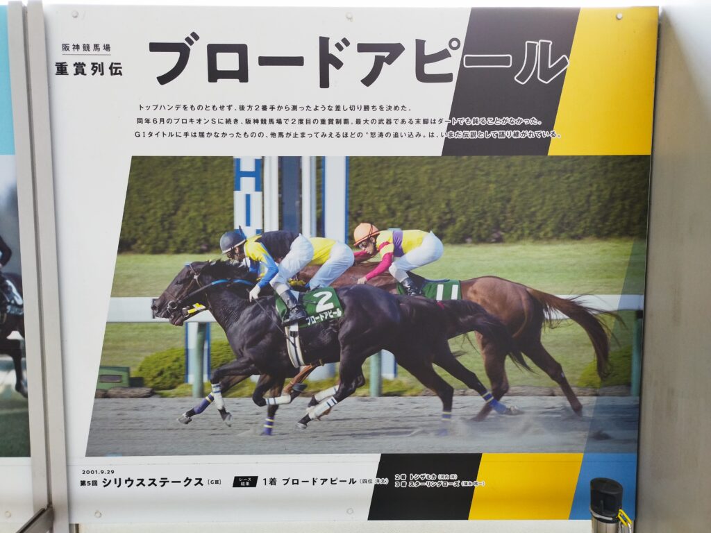 ブロードアピール