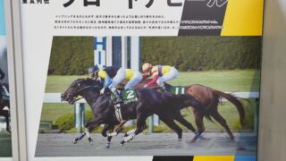 ブロードアピール