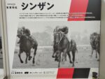 シンザン