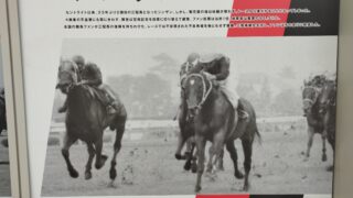 シンザン