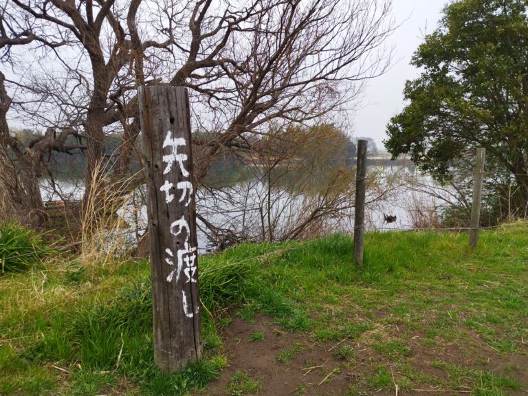 矢切の渡し