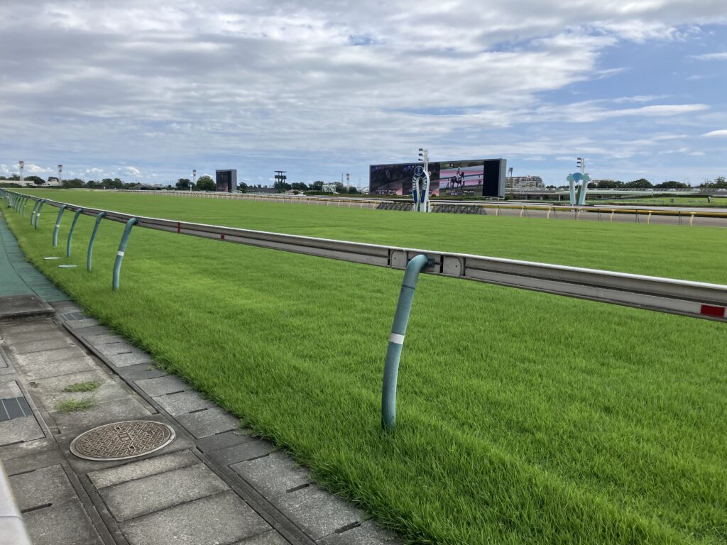 東京競馬場